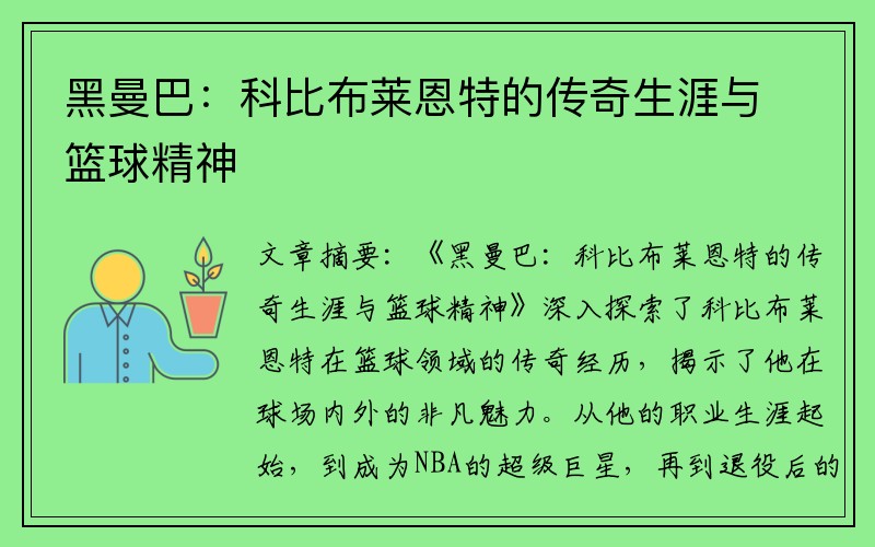 黑曼巴：科比布莱恩特的传奇生涯与篮球精神