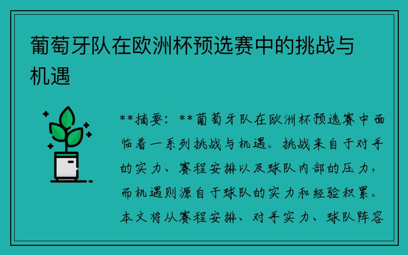 葡萄牙队在欧洲杯预选赛中的挑战与机遇