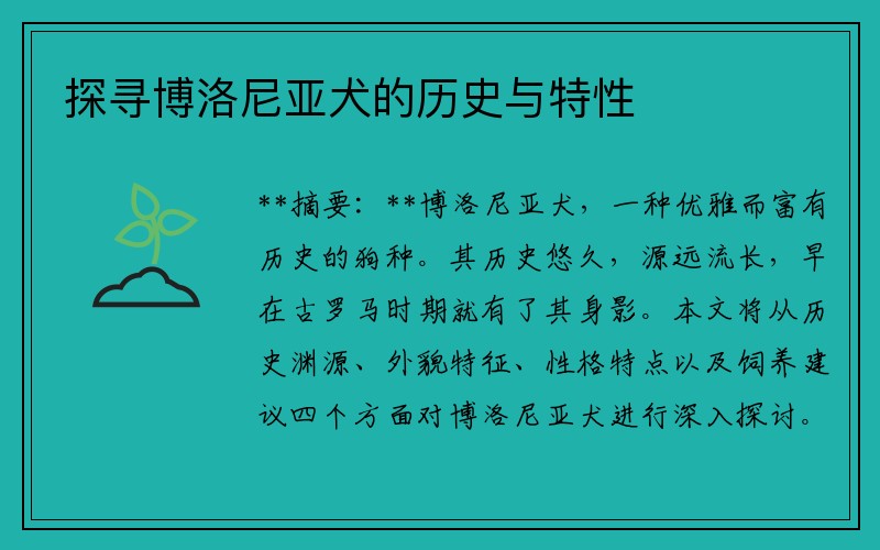 探寻博洛尼亚犬的历史与特性